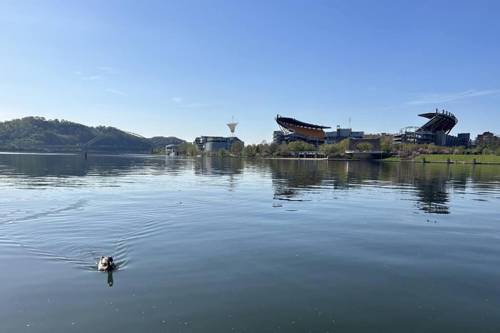 Sprawling Stadium Views Wonderful Location 24-7 Parking Gym Lounge 匹兹堡 外观 照片